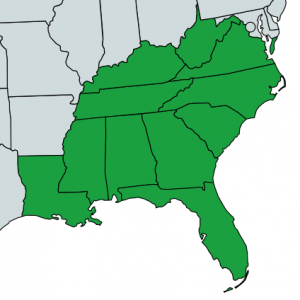 Southern Division Map