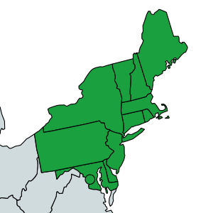 Eastern Division Map